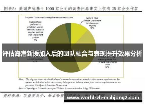 评估海港新援加入后的团队融合与表现提升效果分析