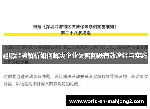 赵鹏经验解析如何解决企业欠薪问题有效途径与实践